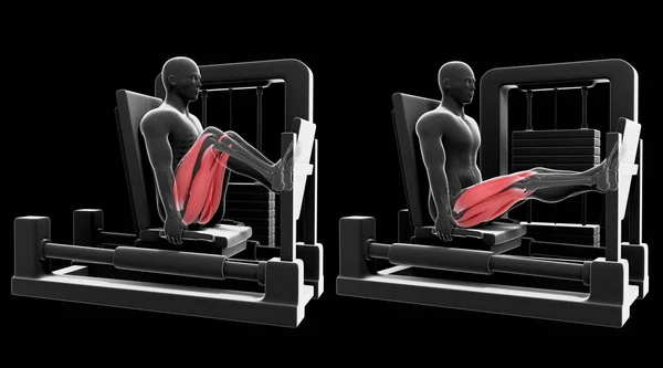 这个3D图形显示了一个在黑色背景上做水平腿按压的X光师 — 图库照片