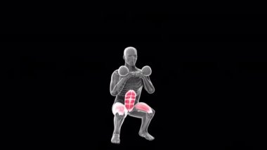 This 3d animation shows an xray man performing double kettlebell squat