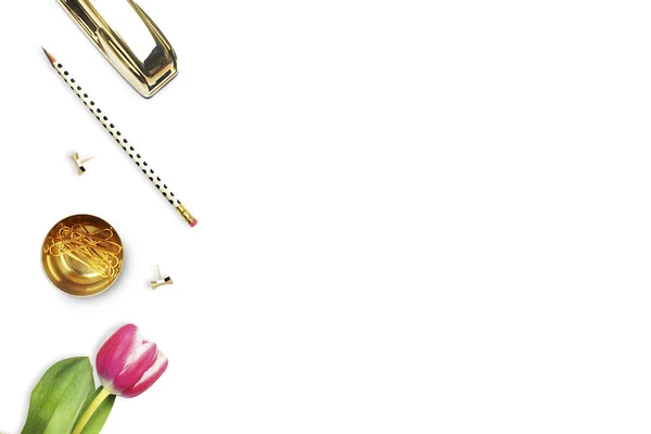 Office desk and woman objects on white table. Flat lay. Tulip , gold stapler, pencil. Table view. Still life of fashion