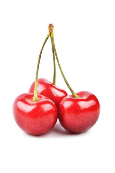 Tres cerezas rojas — Foto de Stock