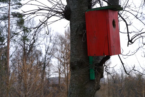 鳥の家は赤い 木の上のバードハウス — ストック写真