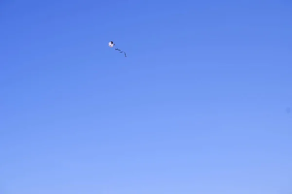 Кайт Небе Активный Отдых Пляже Голубое Небо — стоковое фото