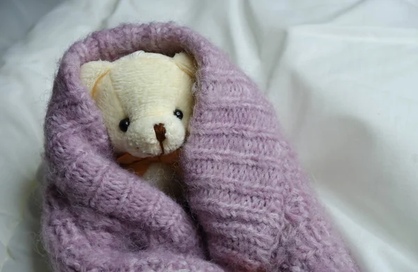 Teddy Bear Bed Toy Interior Children Soft Toy — Stock Photo, Image