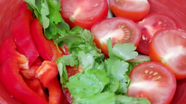 Jeune Fille Saupoudrer Salade Légumes Avec Des Graines Sésame Tournesol — Video