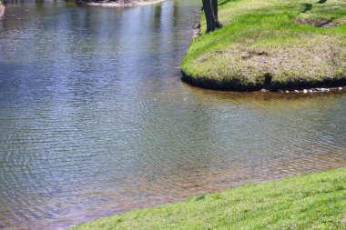 Parktaki gölet. Güzel, doğal bir yer..