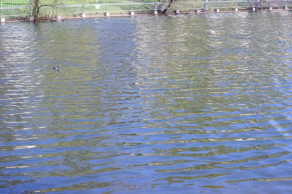 Teich Park Ein Schöner Natürlicher Ort — Stockfoto