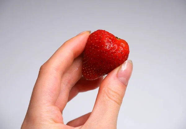 Fraise Rouge Douce Main Baies Dans Les Mains — Photo