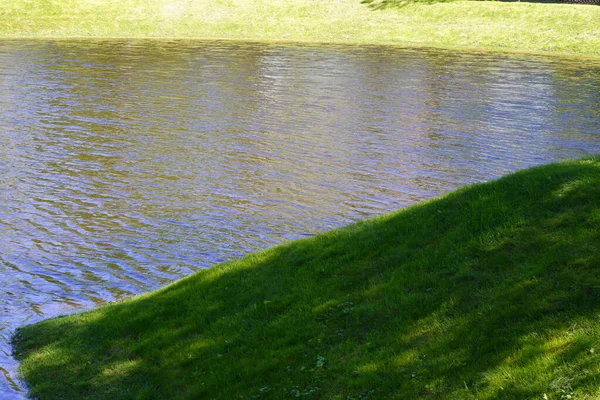 Teich Park Ein Schöner Natürlicher Ort — Stockfoto