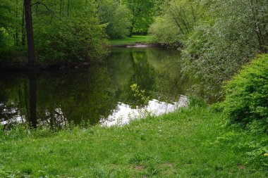 Parkın panoraması. Havuz ve parktaki ağaçlar.