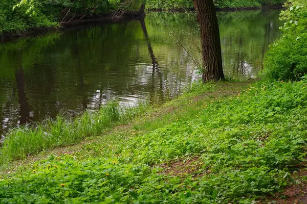 Panorama Des Parks Teich Und Bäume Park — Stockfoto