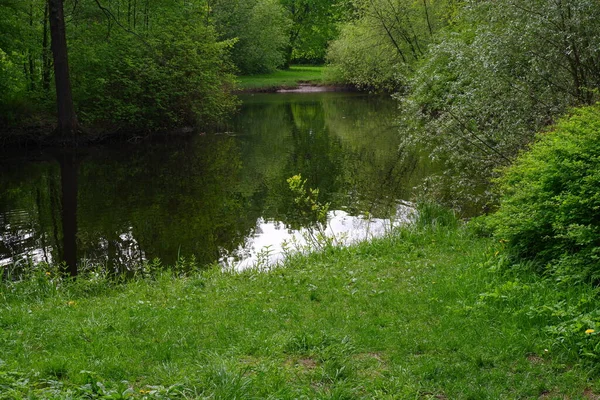 Panorama Des Parks Teich Und Bäume Park — Stockfoto