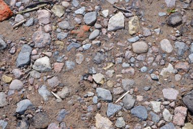 Finlandiya Körfezi kıyısındaki taşlar