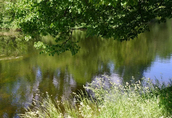 Teich Und Bäume Park Geeignet Für Hintergrund — Stockfoto