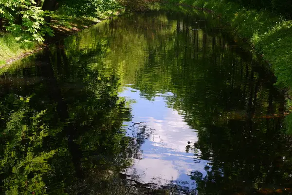 Teich Und Bäume Park Geeignet Für Hintergrund — Stockfoto