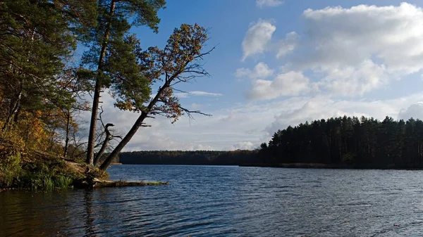 Baum Über Breiten Fluss Unter Blauem Bewölkten Herbsthimmel — Stockfoto