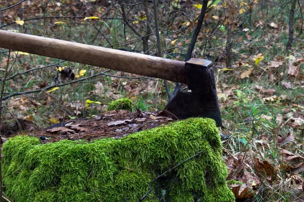 巨大的铁制老斧头卡在一片落叶的秋天森林的朦胧背景上 上面有明亮的绿色苔藓的老树桩上 — 图库照片