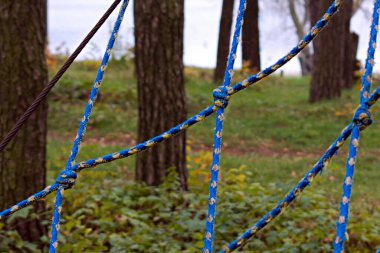 Dar düğümlü ip bulanık orman arka planına yakın