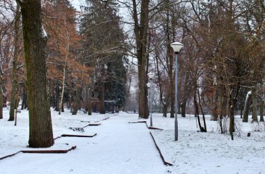 Kışın yeni yağan karla boş Peaple Parkı yok.