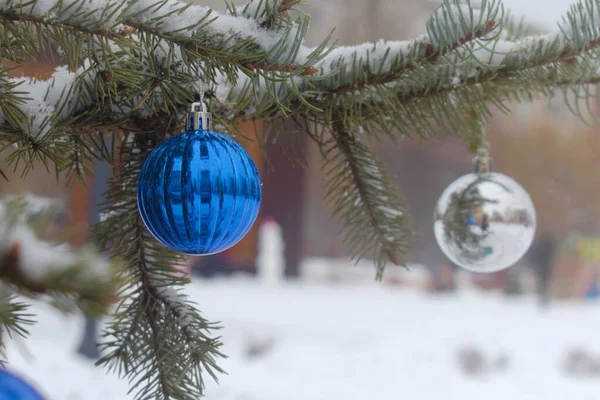 Blue Ball Christmas Tree Outdoors Blurred Background Stock Picture