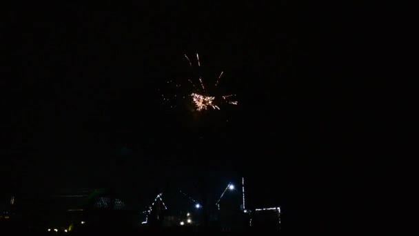 Εορταστικά Πυροτεχνήματα Στο Σκοτεινό Φόντο Του Νυχτερινού Ουρανού Πάνω Από — Αρχείο Βίντεο