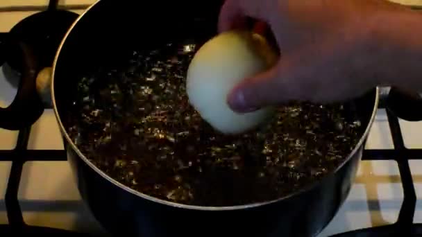 Placer Les Oignons Les Épices Dans Une Casserole Avec Eau — Video