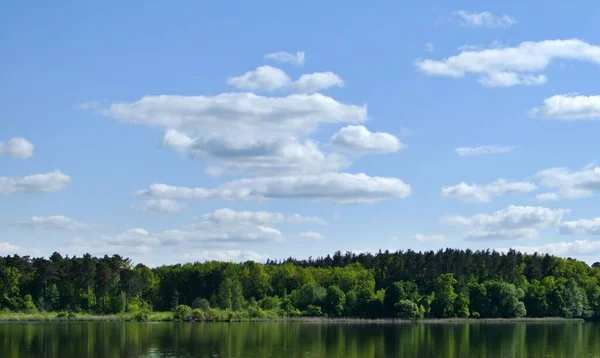 Floresta Verde Com Reflexão Turva Rio Contra Fundo Nuvens Brancas — Fotografia de Stock