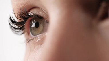 Ağlama, gözyaşları. Beyaz arka planda az sayıda gözyaşı olan kadın gözünün yakın plan görüntüsü. Yavaş çekim, makro çekim