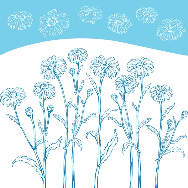 Grafik çizim papatya çiçeği Stok Illüstrasyon