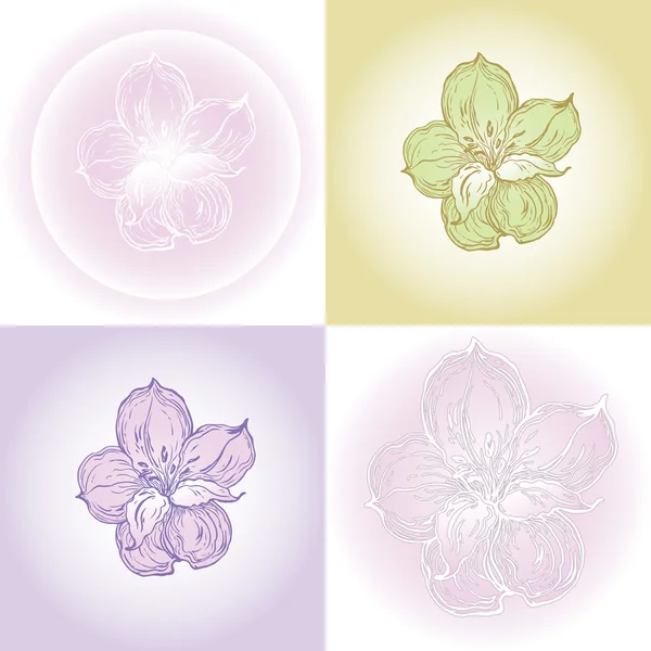 Grafische Zeichnung der Orchideenblume — Stockvektor