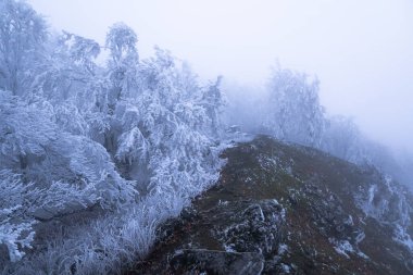 Dağın tepesindeki sis dondurucu havada büyülü bir atmosfer yaratır.
