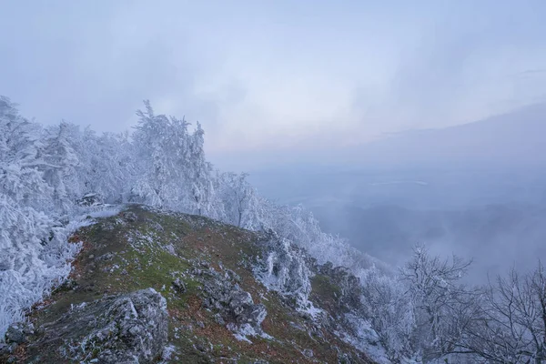 Fog Top Mountain Creates Magical Atmosphere Freezing Weather — Foto de Stock