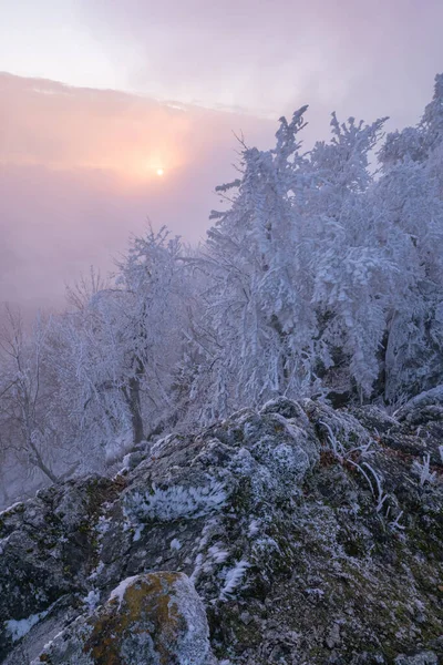 Setting Sun Shines Fog Clouds Mountains Freezing Weather — Foto de Stock