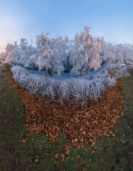 Ландшафт Панорами Зима Чергує Осінь Осіннє Листя Передньому Плані Заморожений — стокове фото