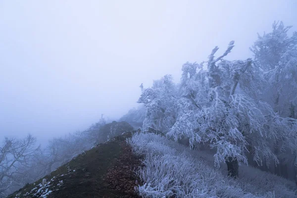 Fog Top Mountain Creates Magical Atmosphere Freezing Weather — Foto de Stock