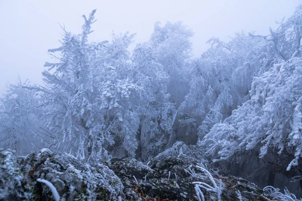 Fog Top Mountain Creates Magical Atmosphere Freezing Weather — Foto de Stock