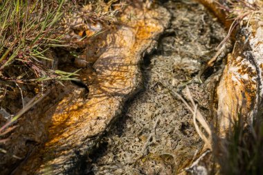 Mineralleştirilmiş su çökeltilerle bir travertin akımı oluşturdu. 