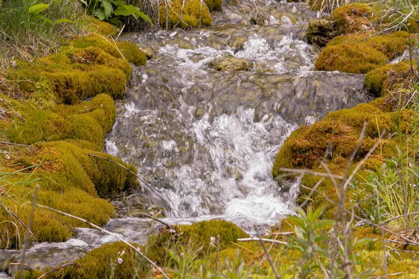 Detail Mountain Stream Both Banks Covered Moss — Stock Photo, Image