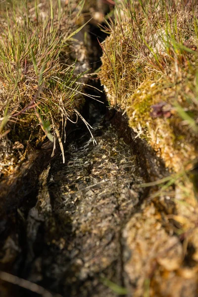 Mineralleştirilmiş su çökeltilerle bir travertin akımı oluşturdu. 