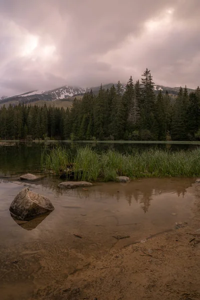 Rustige Berg Vrbicke Pleso Meer Omgeven Door Bomen Besneeuwde Bergen — Stockfoto