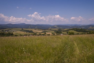 From the meadow with tall grass there is a beautiful view of the landscape and the sky with clouds. 