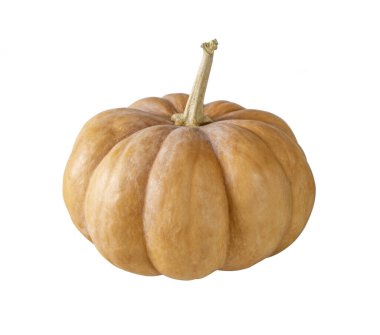 Sonbahar sarısı balkabağı beyazın üzerinde izole edilmiş.