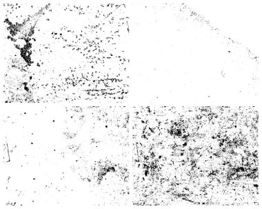 Grunge Doku Vektör Paketi. Çekirdek dokusu, pürüzlü dokusu, klasik dokusu. Sıkıntılı bir etki. Sıkıntı dokusu.