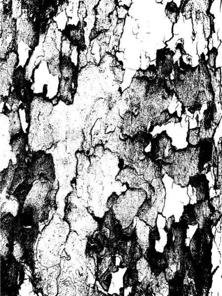 Grunge Tree Bark Texture Distressed Overlay Texture Black White Vector — Stock Vector