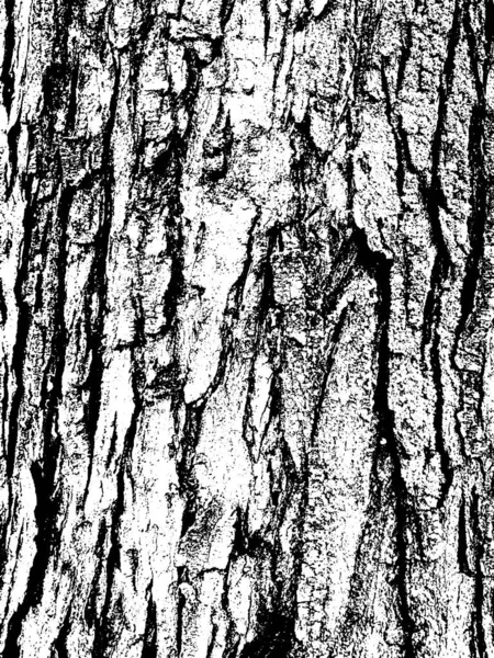 Grunge Tree Bark Texture Distressed Overlay Texture Black White Vector — Stock Vector