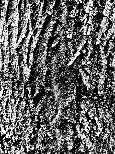 Grunge Albero Corteccia Texture Sovrapposizione Texture Angosciata Struttura Vettoriale Bianco — Vettoriale Stock