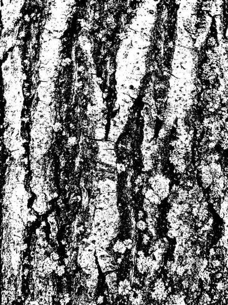 Grunge Tree Bark Texture Distressed Overlay Texture Black White Vector — Stock Vector