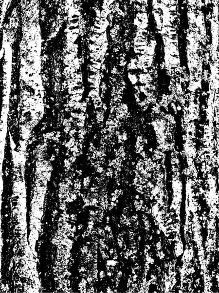 Grunge Tree Bark Texture Distressed Overlay Texture Black White Vector — Stock Vector