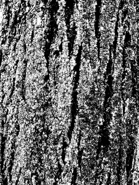 Grunge Tree Bark Texture Distressed Overlay Texture Black White Vector — Stock Vector