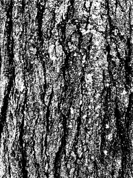 Grunge Albero Corteccia Texture Sovrapposizione Texture Angosciata Struttura Vettoriale Bianco — Vettoriale Stock