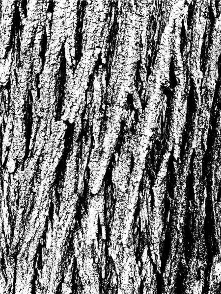 Grunge Albero Corteccia Texture Sovrapposizione Texture Angosciata Struttura Vettoriale Bianco — Vettoriale Stock